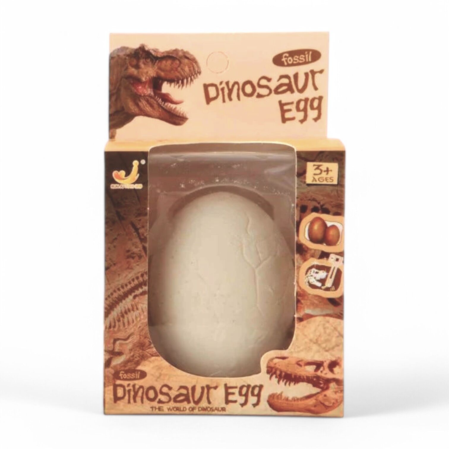 Dinosaur Egg Digging Fossil