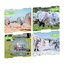 What You Need - Adult Outdoor Zorb Ball | Ultimate Fun & Fitness