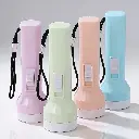 What You Need - LED Mini Flashlight