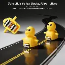 What You Need - Duck Roller Coaster