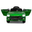 What You Need - Electric Ride On Car for Kids | 12V | Hulk Green ZoomRider