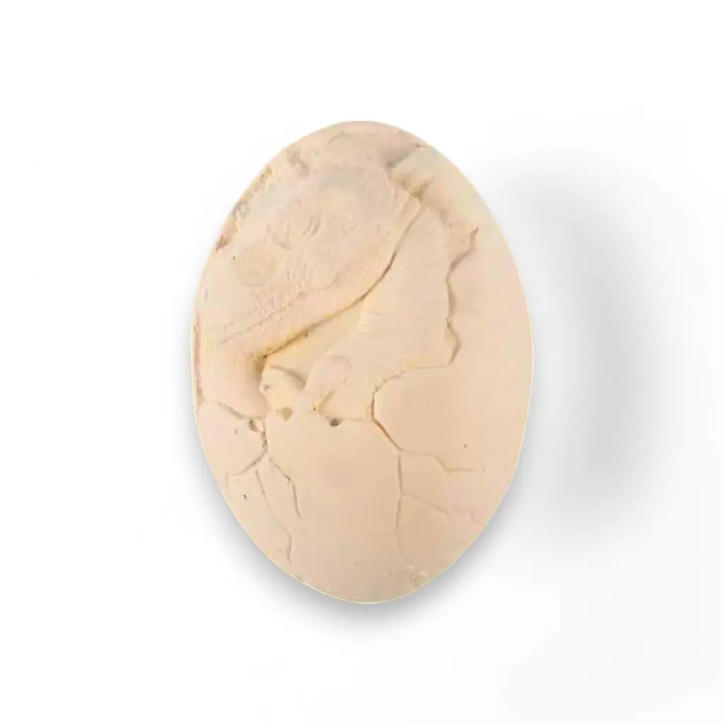 What You Need - Dinosaur Egg Digging Fossil