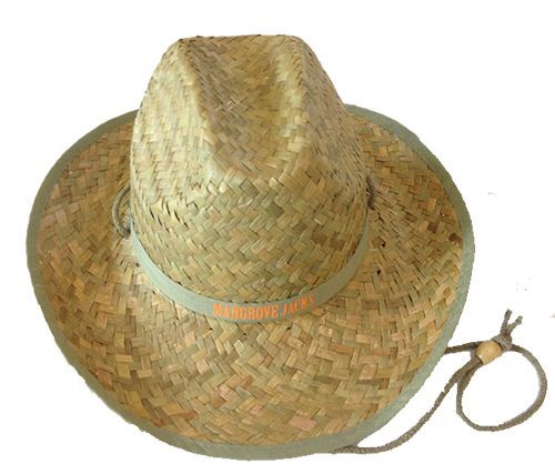 Mangrove Jacks Straw Hat Trevally